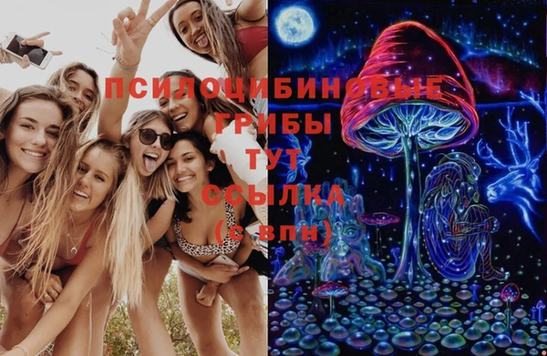 соль курить ск Каменногорск