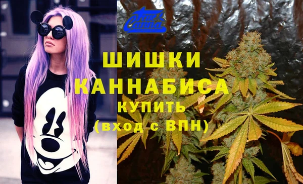 соль курить ск Каменногорск