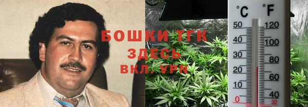 спайс Каменка